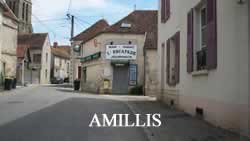 centre VHU agree epaviste Amillis - 77120