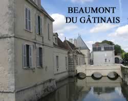 centre VHU agree epaviste Beaumont-du-Gâtinais - 77890