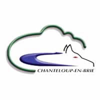 centre VHU agree epaviste Chanteloup-en-Brie - 77600