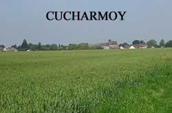 centre VHU agree epaviste Cucharmoy - 77160