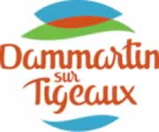 centre VHU agree epaviste Dammartin-sur-Tigeaux - 77163