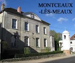 centre VHU agree epaviste Montceaux-lès-Meaux - 77470