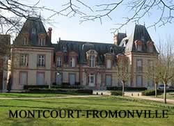 centre VHU agree epaviste Montcourt-Fromonville - 77140