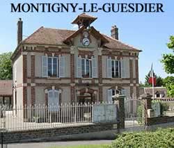 centre VHU agree epaviste Montigny-le-Guesdier - 77480