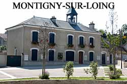 centre VHU agree epaviste Montigny-sur-Loing - 77690