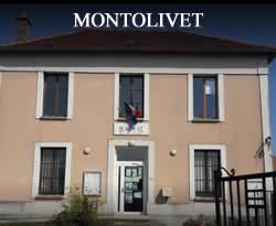 centre VHU agree epaviste Montolivet - 77320