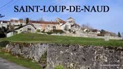 centre VHU agree epaviste Saint-Loup-de-Naud - 77650