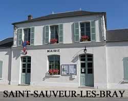 centre VHU agree epaviste Saint-Sauveur-lès-Bray - 77480