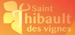centre VHU agree epaviste Saint-Thibault-des-Vignes - 77400