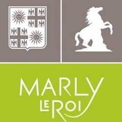 centre VHU agree epaviste Marly-le-Roi - 78160
