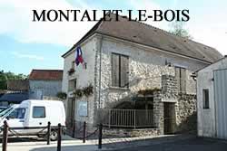 centre VHU agree epaviste Montalet-le-Bois - 78440