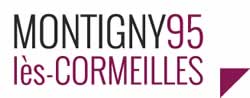 centre VHU agree epaviste Montigny-lès-Cormeilles - 95370