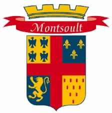 centre VHU agree epaviste Montsoult - 95560